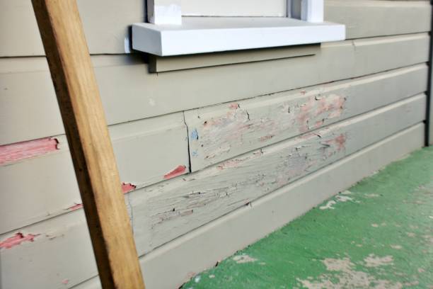 Best Siding Painting and Refinishing  in USA